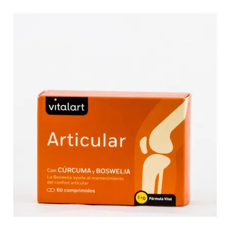 Vitalart Articular, 60 Comp.