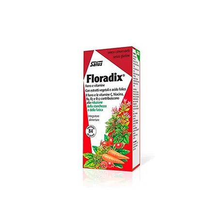 Floradix 84 comprimidos