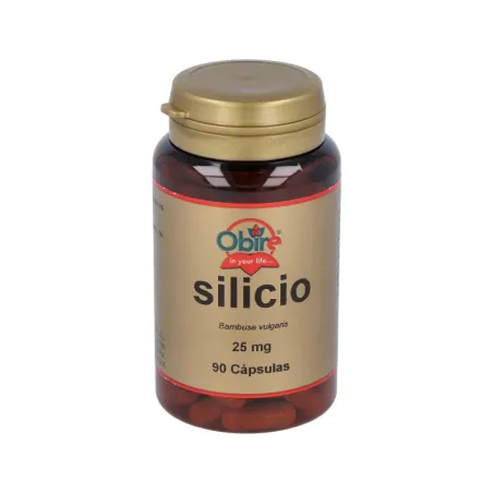 Obire Silicio 25 mg, 90 cápsulas.