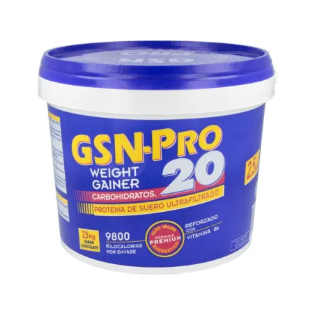 GSN Pro-20 - Chocolate, 2500 gr