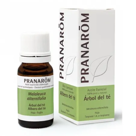 Pranarom aceite esencial árbol del té, 10 ml