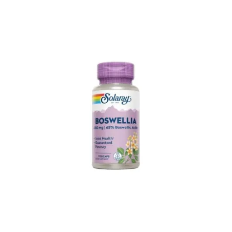 Boswelia Solaray 300 mg, 60 cápsulas